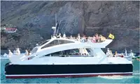 Catamaran de vânzare