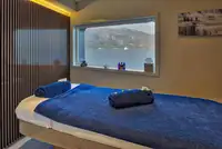 Navă de croazieră de vânzare
