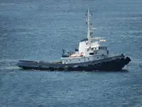 Remorcher de vânzare