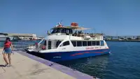 Catamaran de vânzare