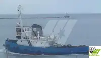 Remorcher de vânzare