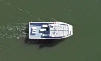 Catamaran de vânzare