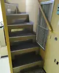 Navă pilot de vânzare