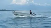 Bărci de lucru de vânzare
