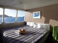 Catamaran de vânzare