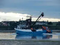 Nava de pescuit cu plase purseine de vânzare