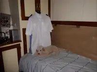 Ambarcațiune de patrulare de vânzare