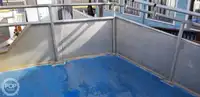 Catamaran de vânzare
