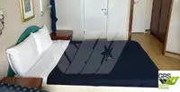 Ro-Ro ship de vânzare