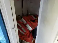 Navă de feribot de vânzare