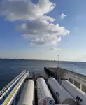 Nava RoPax de vânzare