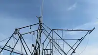 Nava de pescuit tip trauler de vânzare