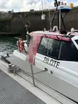Navă pilot de vânzare