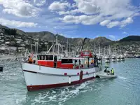 Nava de pescuit tip trauler de vânzare