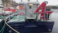 Ambarcațiuni de lucru de vânzare