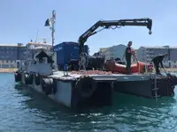 Catamaran de vânzare