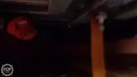 Nava de pescuit tip trauler de vânzare