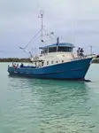 Nava de pescuit tip trauler de vânzare