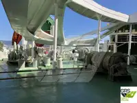 Navă Ro-Ro de vânzare