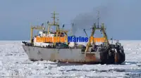 Navă frigorifică de vânzare