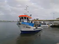 Remorcher de vânzare