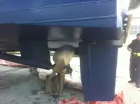 Navă de transport echipaj de vânzare