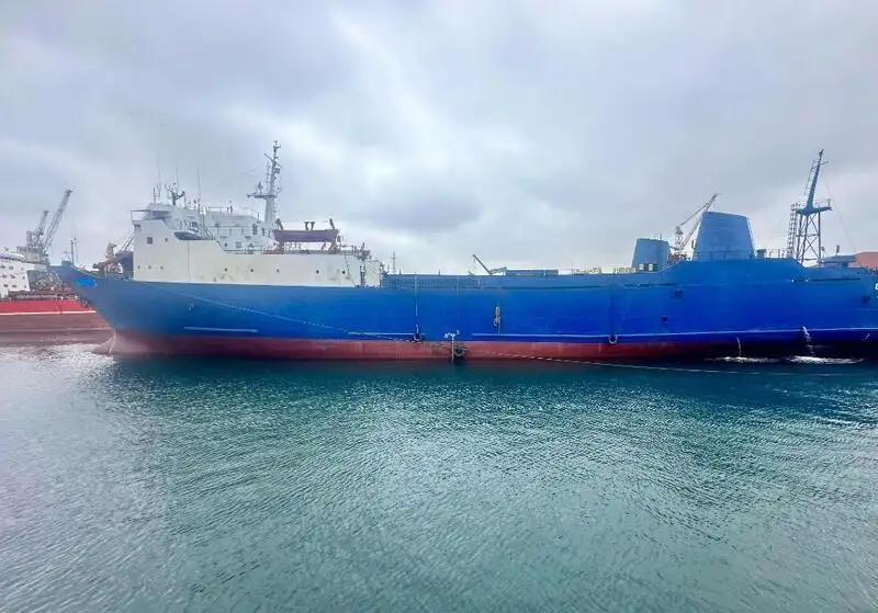 Nava de transport marfă vrac de vânzare