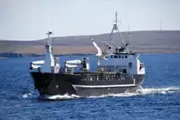 Vrachier de vânzare
