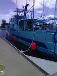 Nava de pescuit tip trauler de vânzare