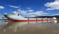 Barjă de vânzare