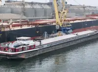 Nava de transport marfă vrac de vânzare
