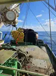 Purse seiner de vânzare