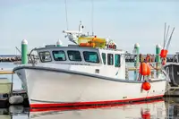 Nava de pescuit cu plase purseine de vânzare