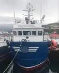 Ambarcațiuni de lucru de vânzare