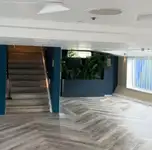 Navă de croazieră și feribot de vânzare