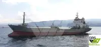 Nava de transport marfă vrac de vânzare