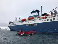 Navă RoPax de vânzare