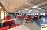 Navă Ro-Ro de vânzare