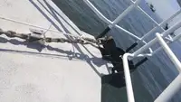 Navă de transport echipaj de vânzare