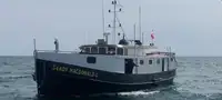 Remorcher de vânzare