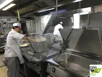 Navă de croazieră de vânzare
