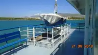Ro-Ro ship de vânzare