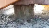 Dragă de vânzare