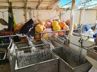 Nava de pescuit cu linii lungi de vânzare