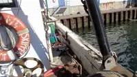 Nava de pescuit tip trauler de vânzare
