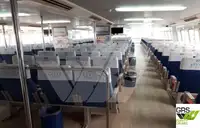 Navă de croazieră de vânzare