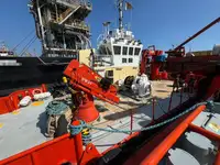 General Cargo/Multi-purpose de vânzare