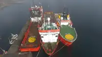 Navă de aprovizionare pentru platforme (PSV) de vânzare