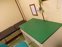 Nava de transport marfă vrac de vânzare