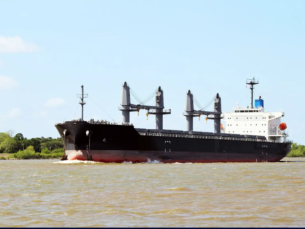 Nava de transport marfă vrac de vânzare